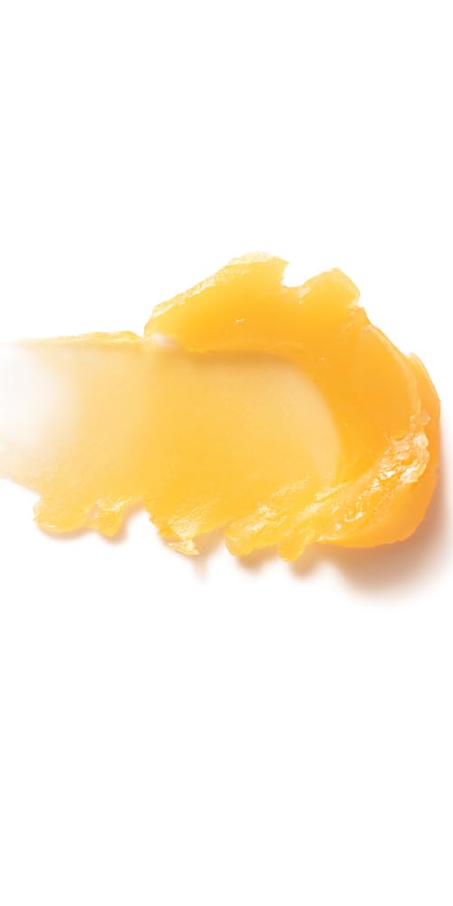 Dr. Hauschka Dr Hauschka Lip Care Stick 0 17 Ounce – back view and specifications