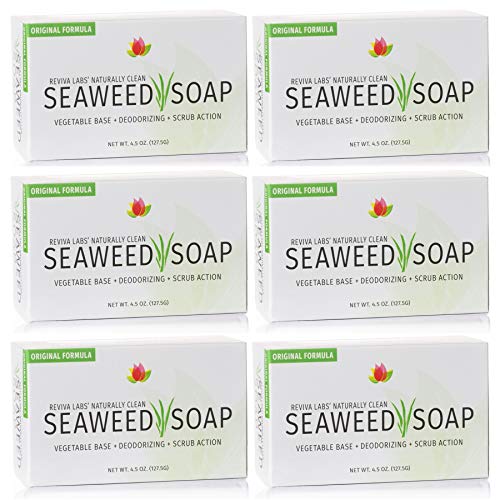 Reviva Seaweed Soap - Reviva Labs Official Imagery - 1