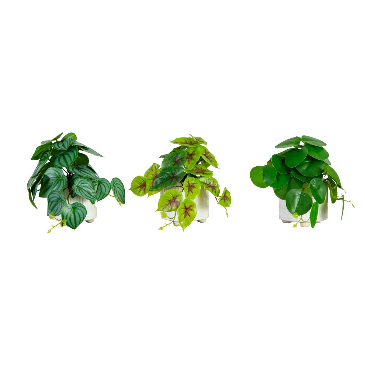 Nearly Natural 8in Artificial Mixed Greens in Ceramic - Nearly Natural Official Imagery - 2