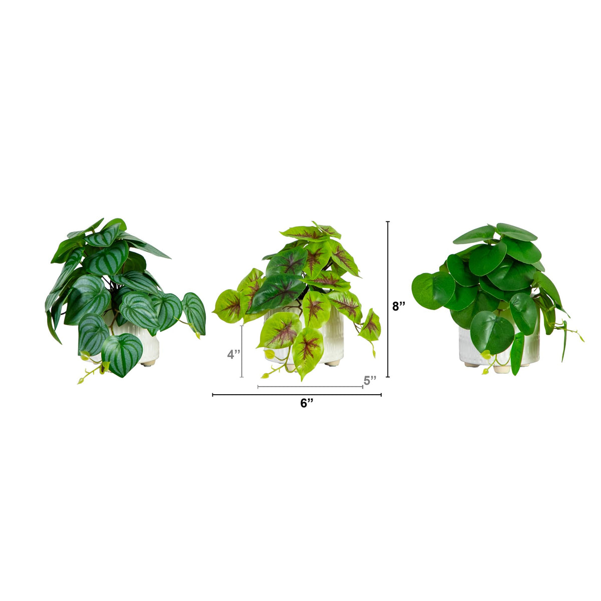 Nearly Natural 8in Artificial Mixed Greens in Ceramic - Nearly Natural Official Imagery - 3