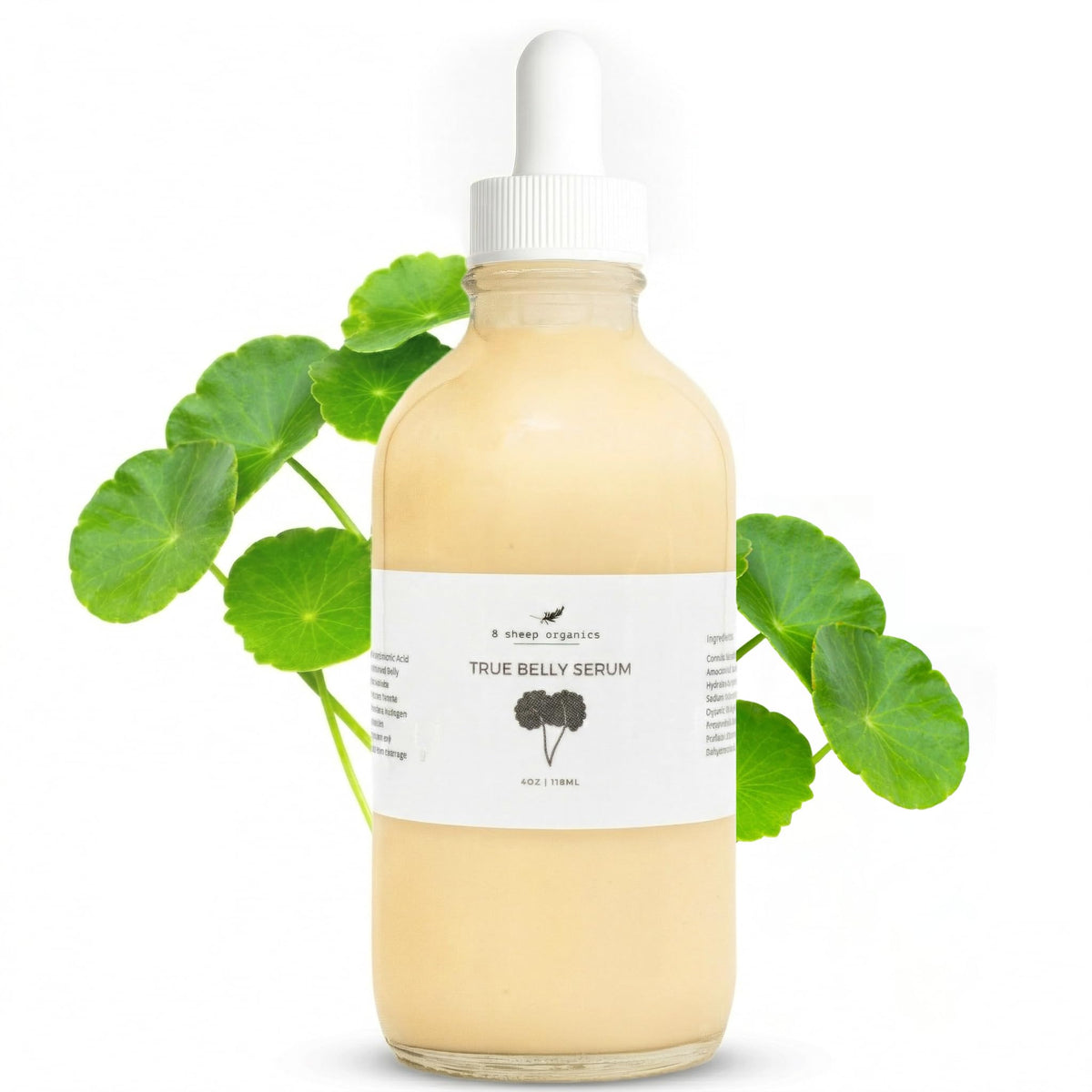 8 Sheep True Belly Serum Pregnancy Safe Skin Care Belly Oil - 8 SHEEP ORGANICS Official Imagery - 2
