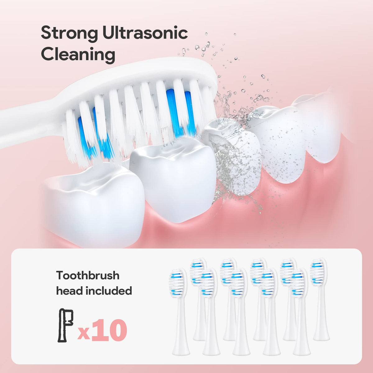 Dnil 2 Pack Rechargeable Sonic Toothbrush for Adults Long - Dnil Official Imagery - 5