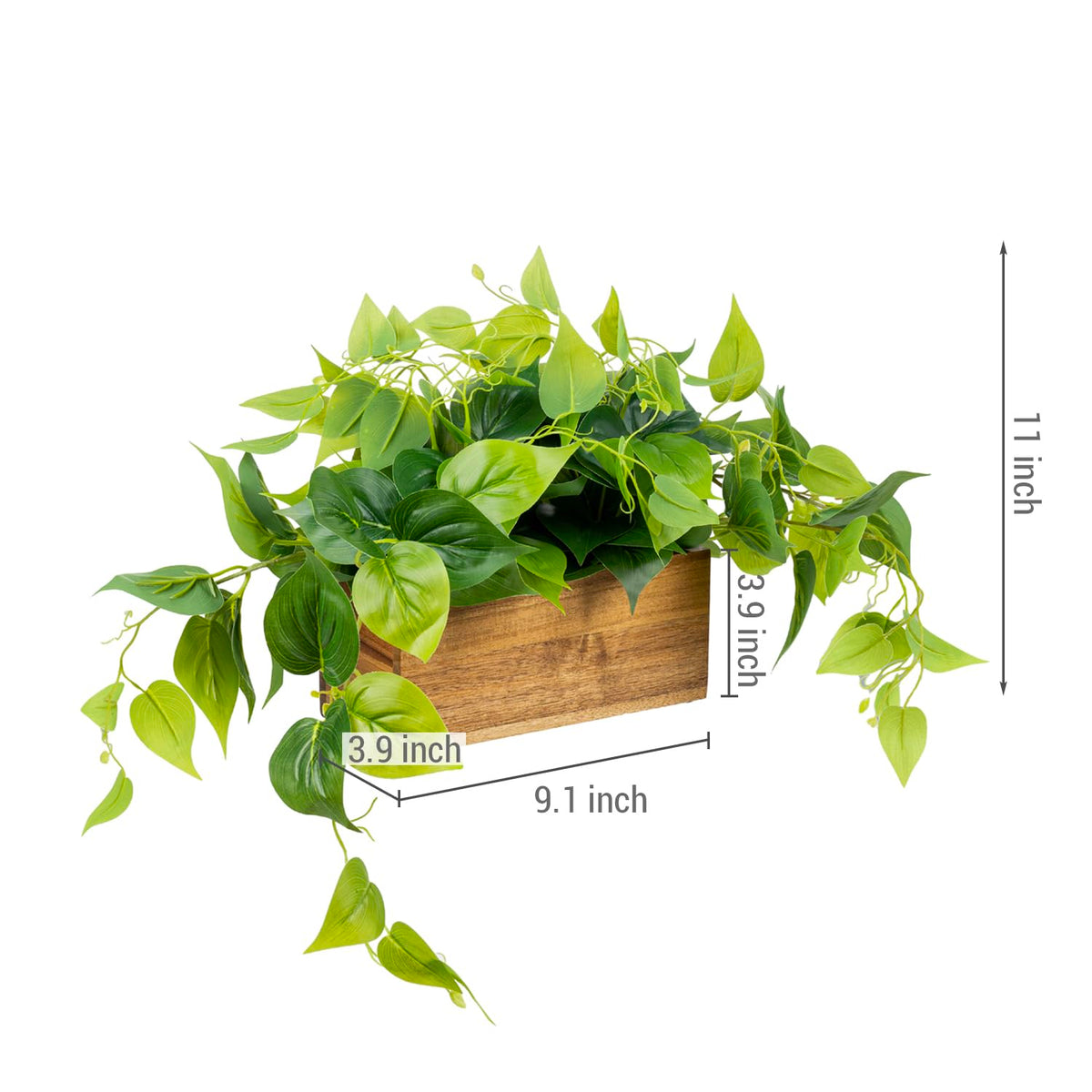 MyGift Artificial Pothos Plant Acacia Wood Planter Box Faux - MyGift Official Imagery - 6