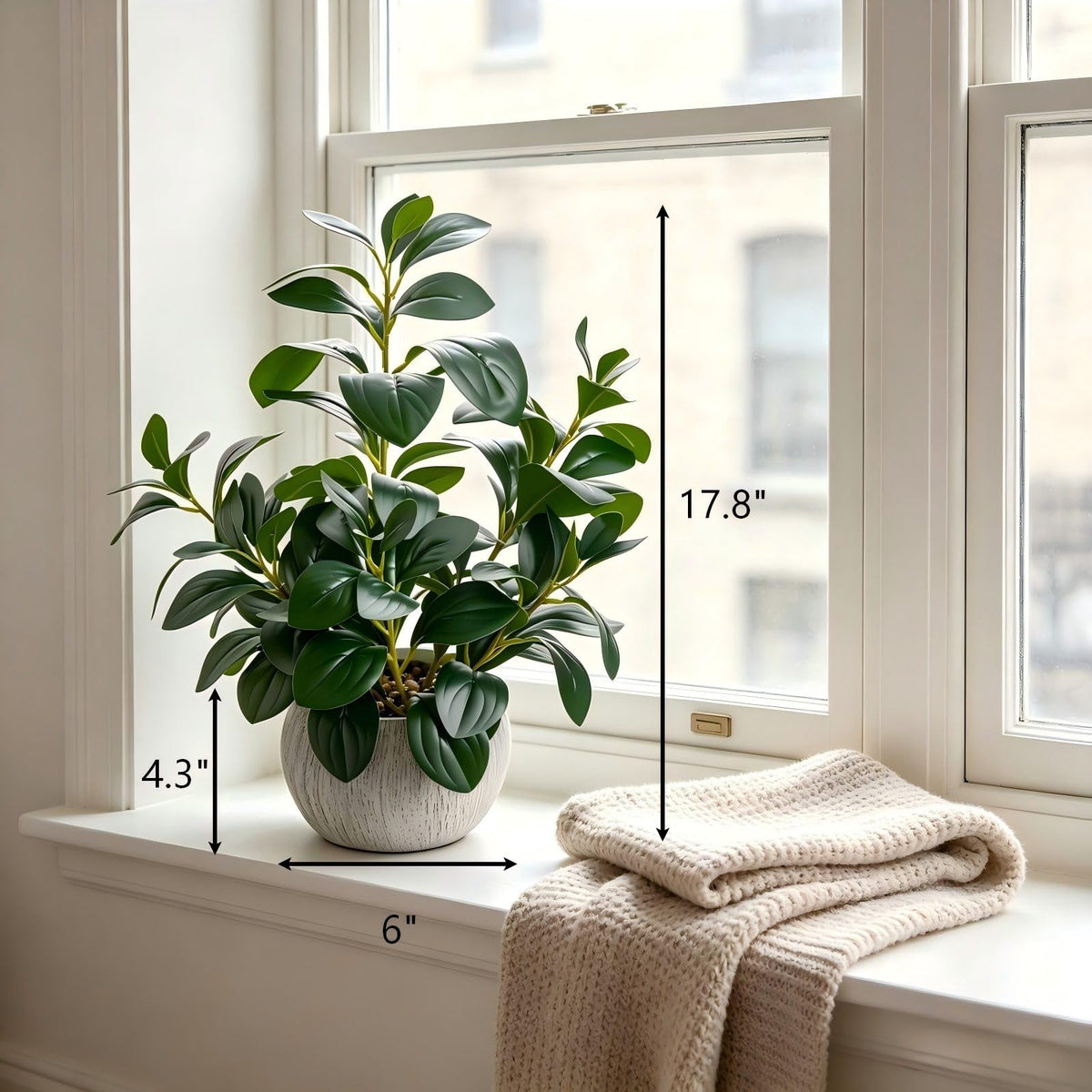 AlphaAcc 17 Artificial Ficus Cement Pot Home Kitchen Office - AlphaAcc Official Imagery - 3