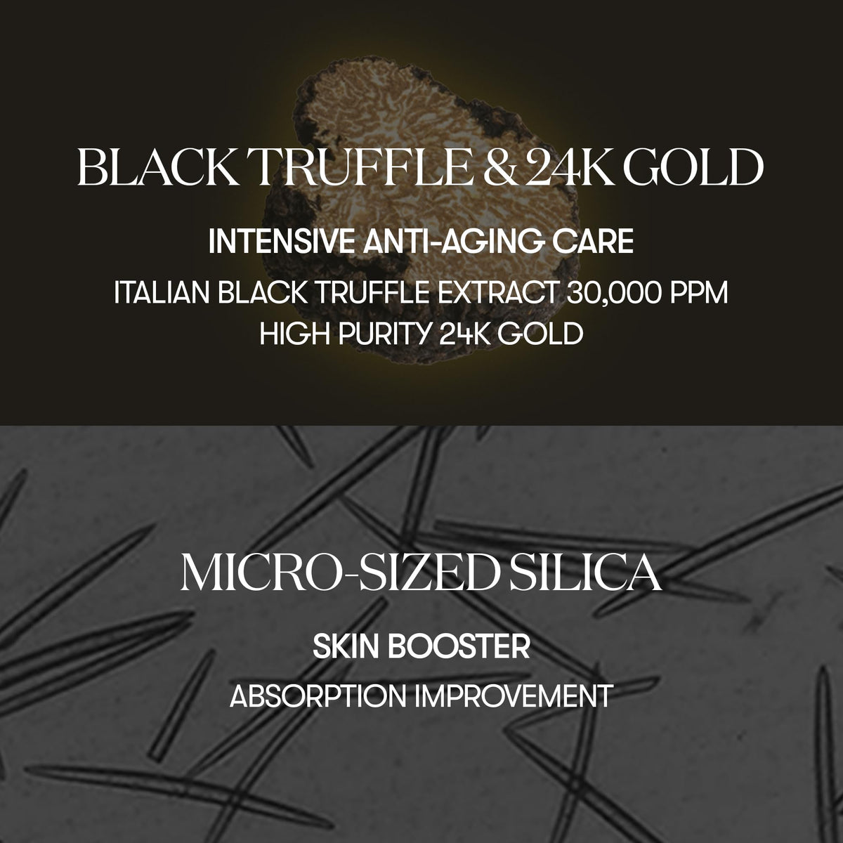 VT COSMETICS Black Truffle Reedle Shot 100 Serum 1 69 fl oz - VT COSMETICS Official Imagery - 5