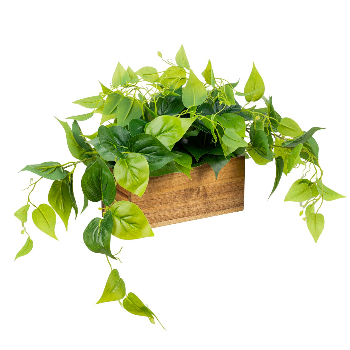 MyGift Artificial Pothos Plant Acacia Wood Planter Box Faux - MyGift Official Imagery - 1