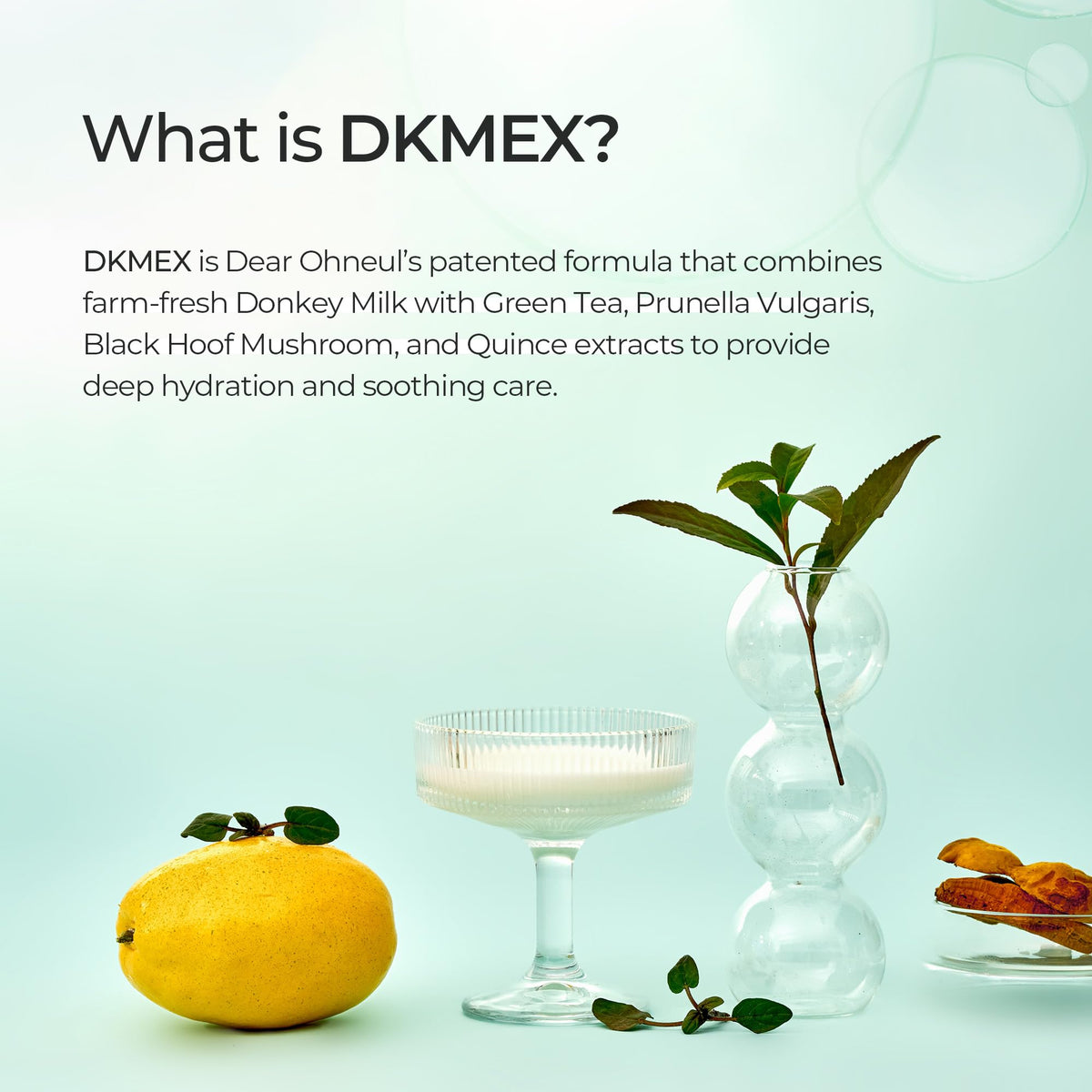 Elixier Donkey Cream - Dear Ohneul Official Imagery - 6