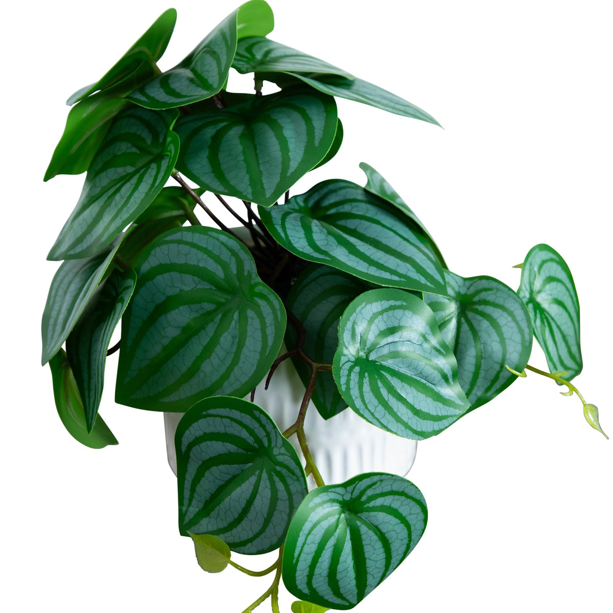 Nearly Natural 8in Artificial Mixed Greens in Ceramic - Nearly Natural Official Imagery - 4