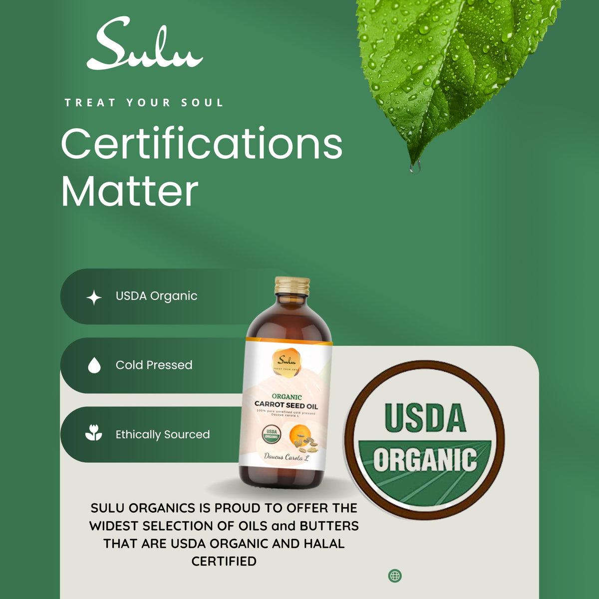 SULU ORGANICS Carrot Seed Oil USDA Organic Cold Pressed - SULU ORGANICS Official Imagery - 3