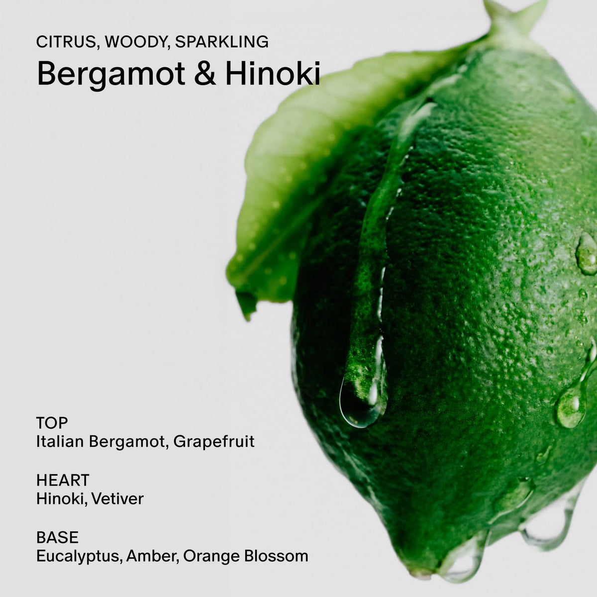 Salt Stone Hair Body Mist for Women Men Bergamot Hinoki 3 4 - Salt & Stone Official Imagery - 4