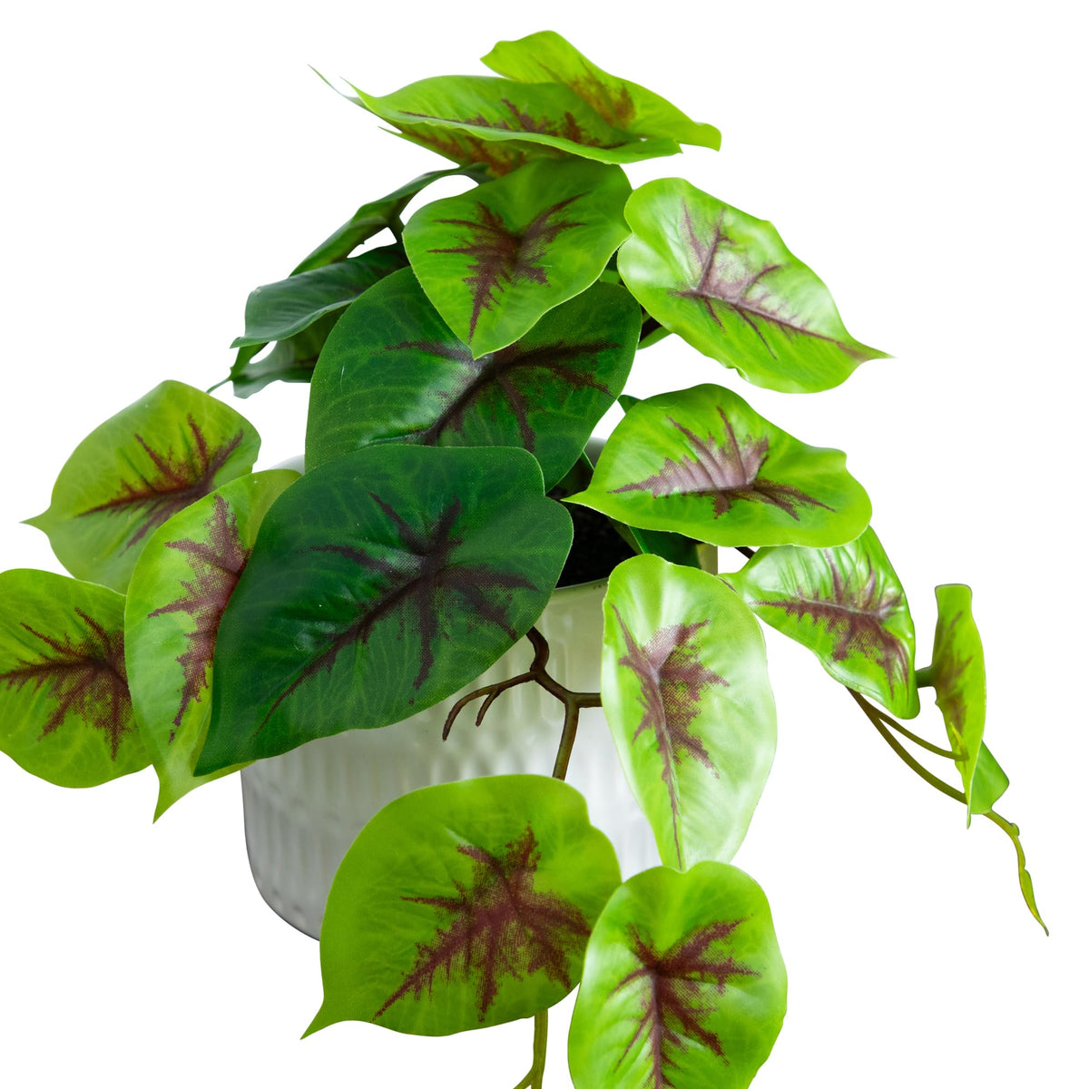 Nearly Natural 8in Artificial Mixed Greens in Ceramic - Nearly Natural Official Imagery - 5