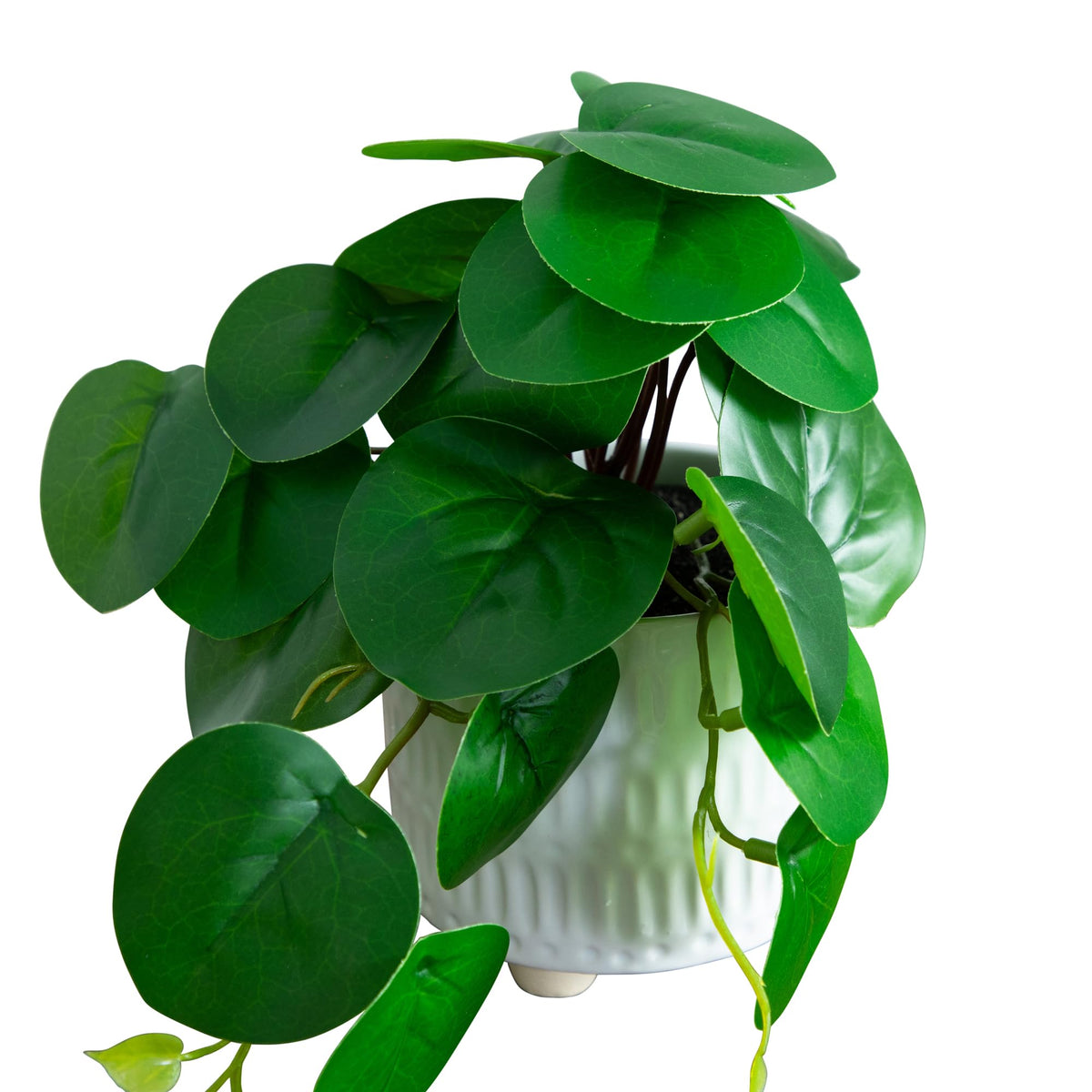 Nearly Natural 8in Artificial Mixed Greens in Ceramic - Nearly Natural Official Imagery - 6