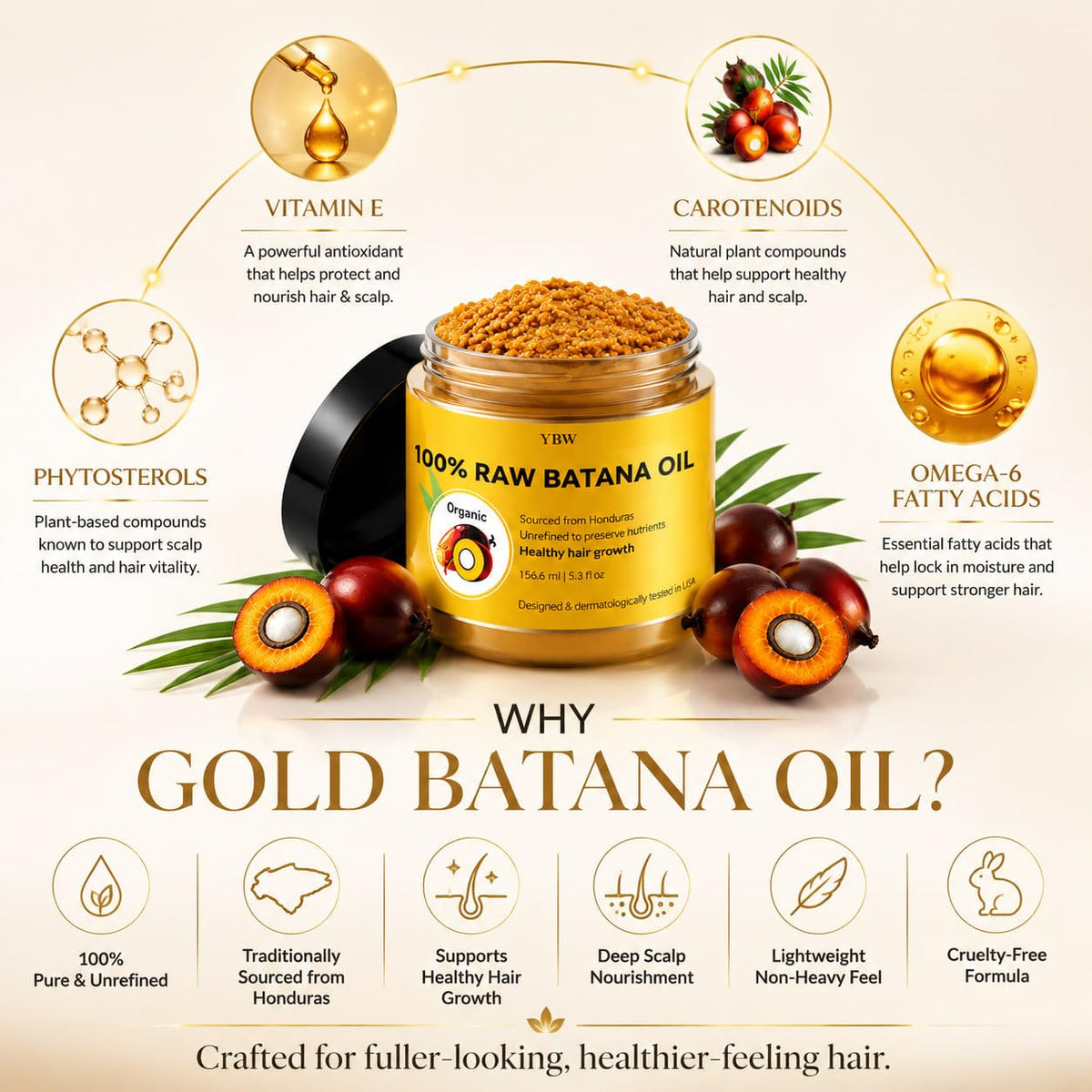 Raw Batana Oil for Hair Growth by Dr Sebi Organic Raw - YBW Official Imagery - 8