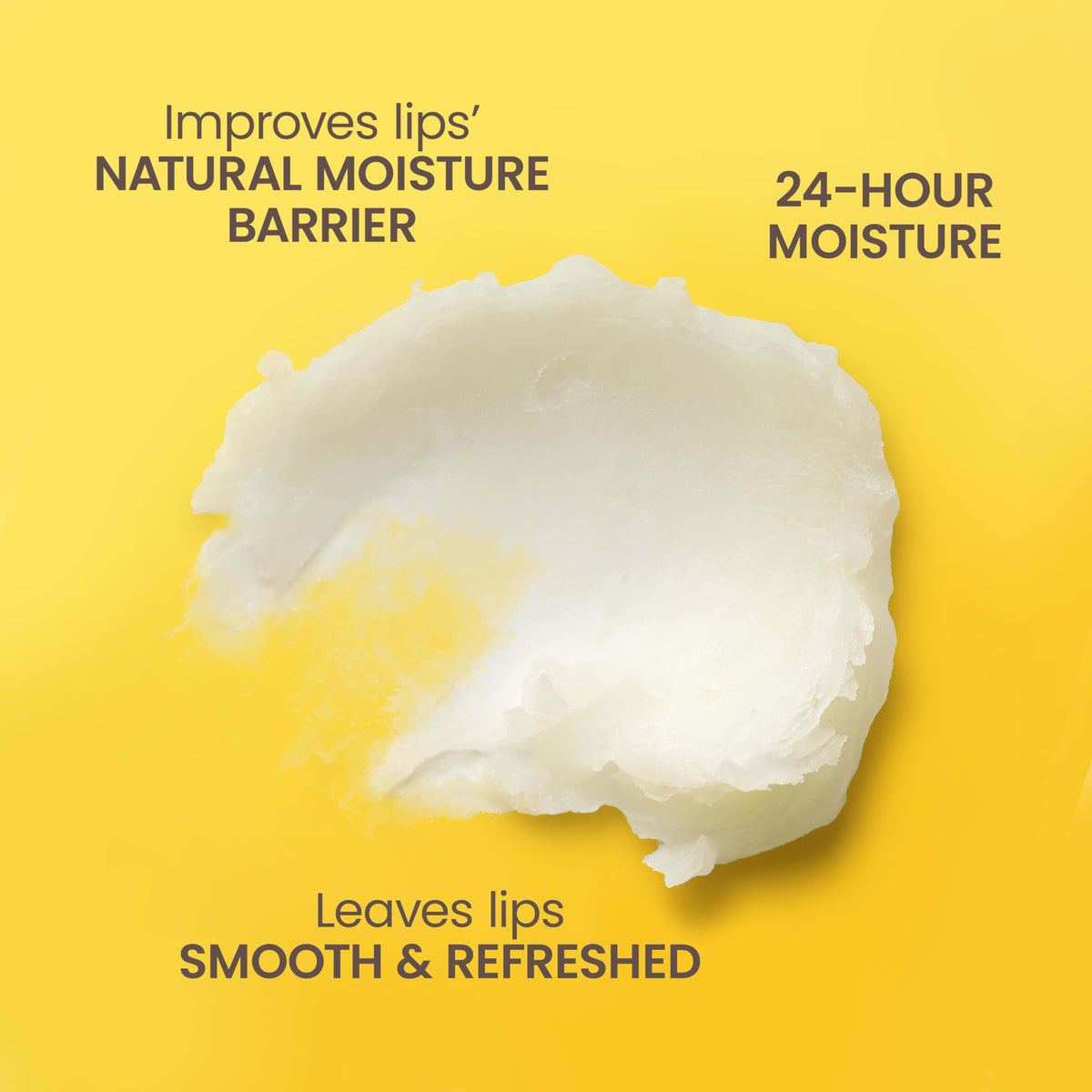 Burt's Bees Burt s Bees 100 Natural Moisturizing Lip Balm Vanilla Bean – packaging and label