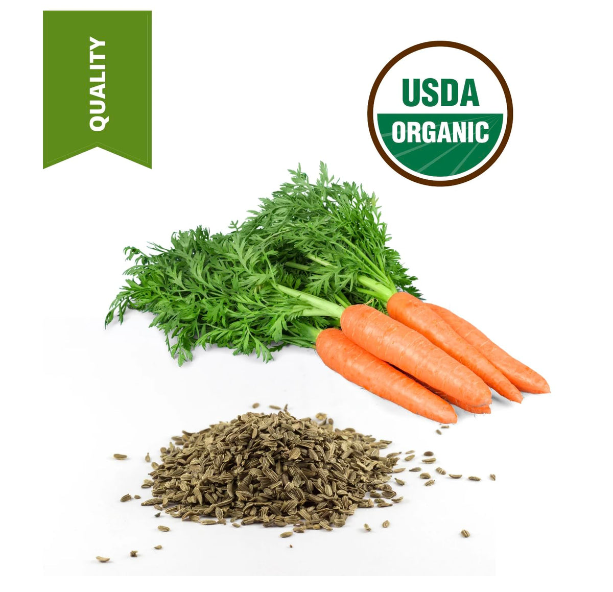 SULU ORGANICS Carrot Seed Oil USDA Organic Cold Pressed - SULU ORGANICS Official Imagery - 5