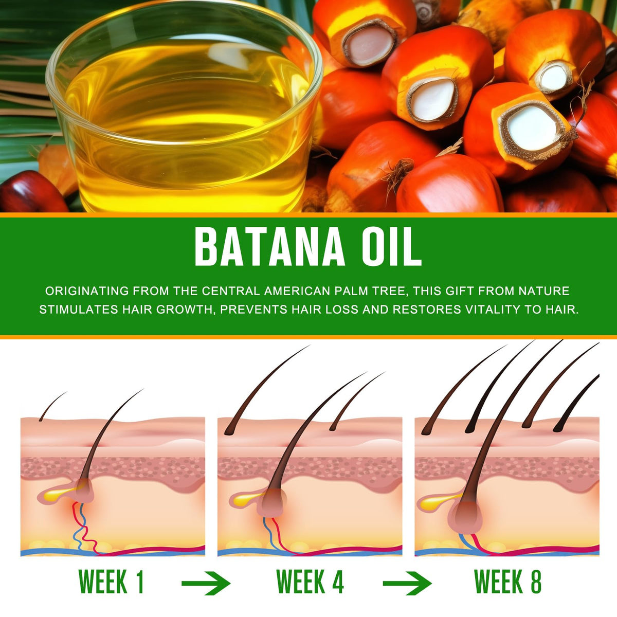 Batana Oil - VXHDAG Official Imagery - 7
