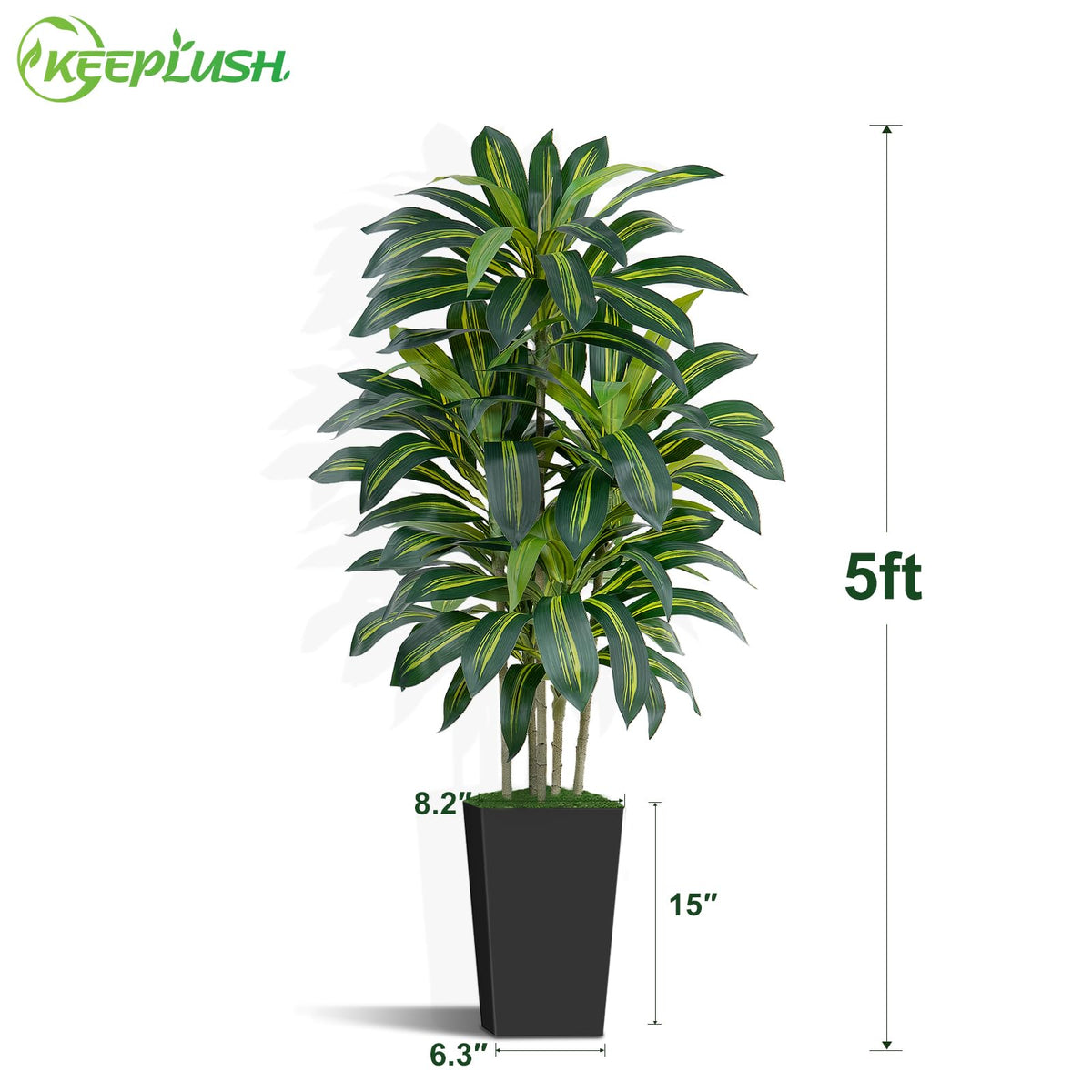 5FT Artificial Dracaena Tree - Keeplush Official Imagery - 4