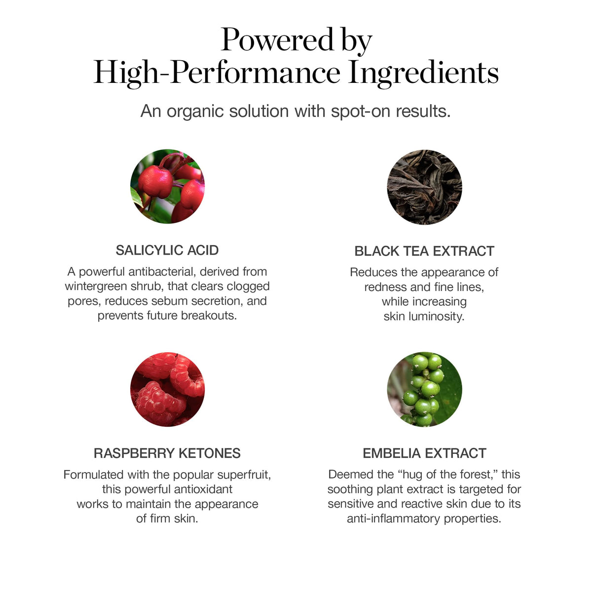 Ogee Plant Based Acne Treatment for Face with Salicylic Acid - Ogee Official Imagery - 5