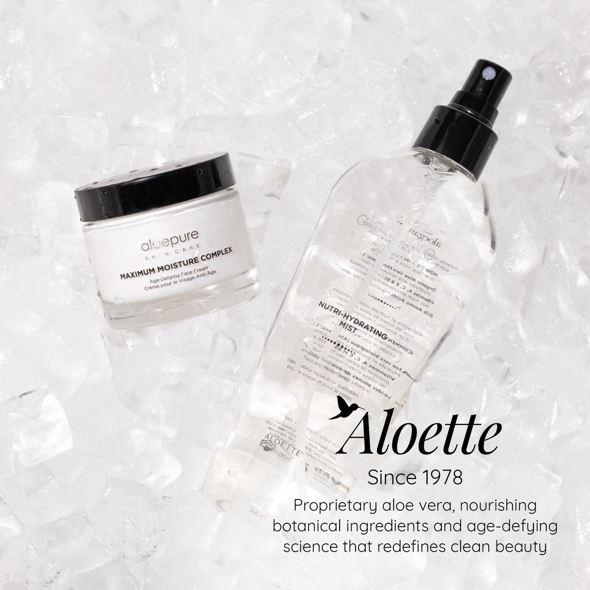 Aloette Maximum Moisture Anti Aging Face Cream - Aloette Official Imagery - 7