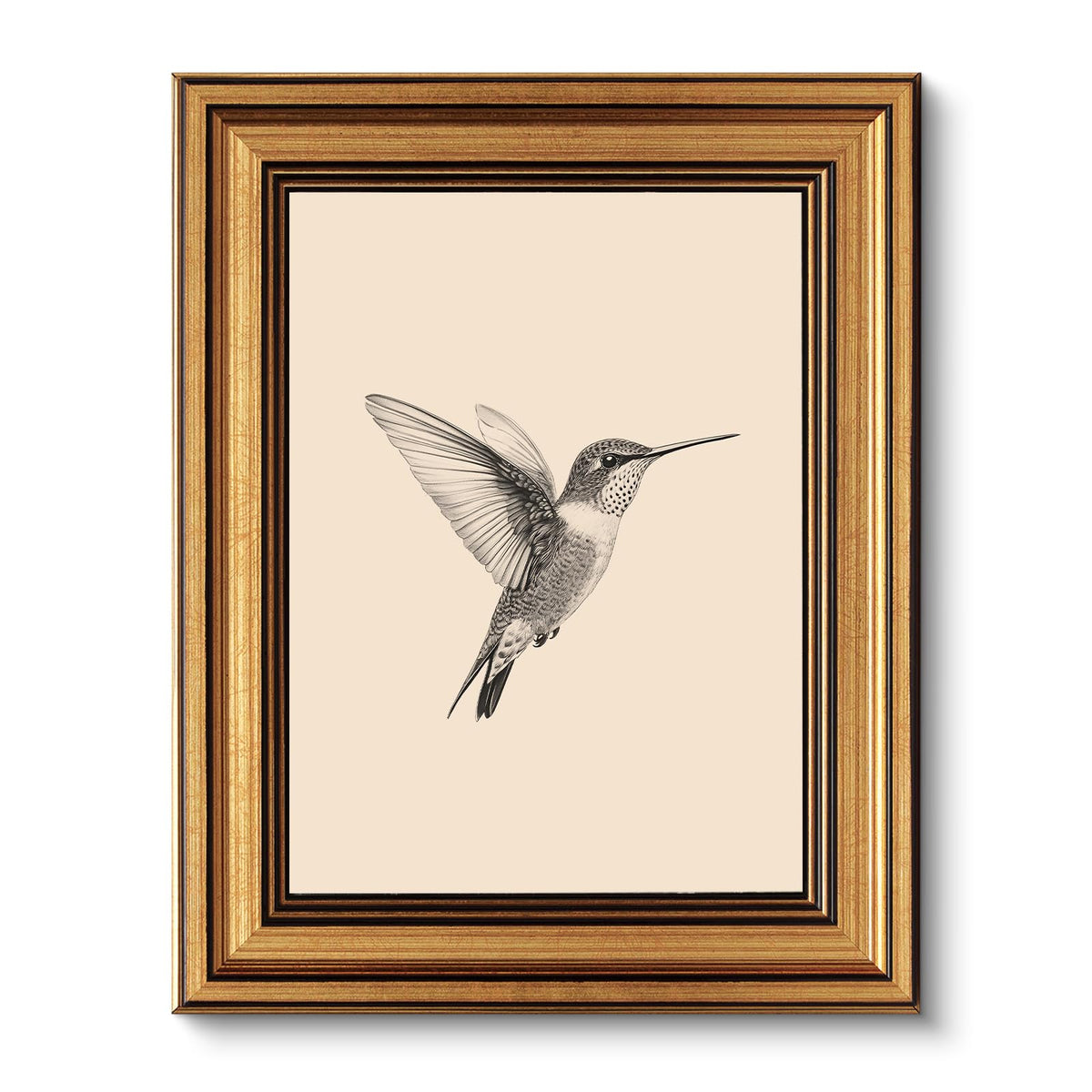 VIYYIEA Vintage Gold Framed Wall Art Hummingbird Sketch – product photo (Posters & Prints)