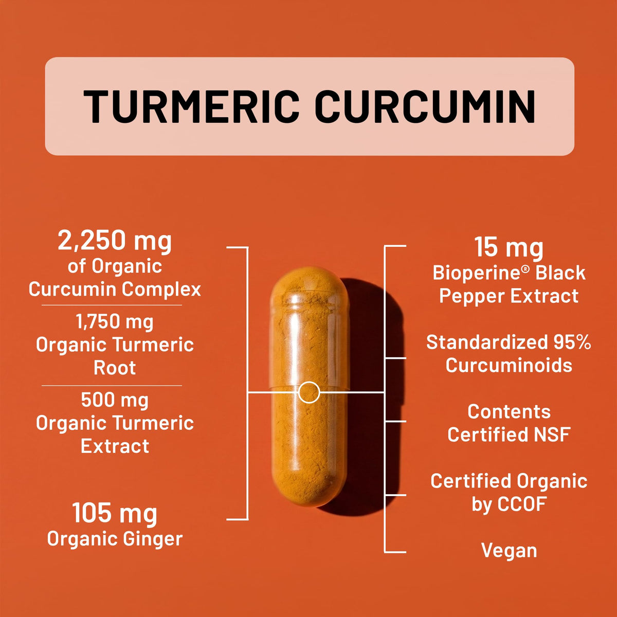 NatureWise Turmeric Curcumin 2250mg Supplement with - NatureWise Official Imagery - 4