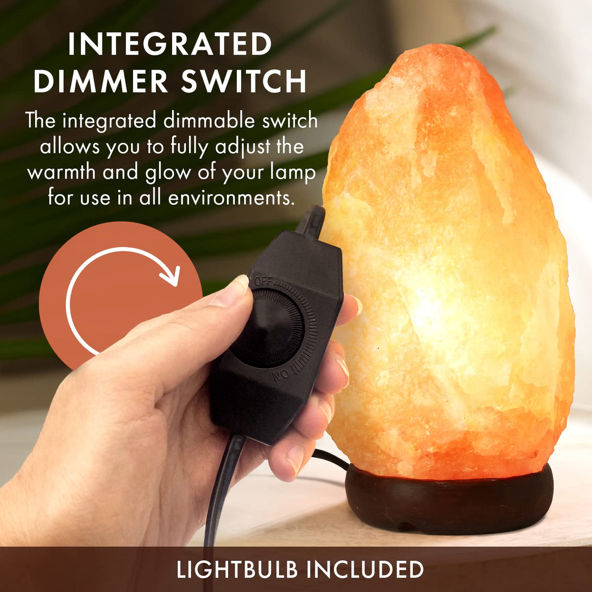 Himalayan Salt Lamp for Bedroom Large 8 10 Inch Pink Salt - The Body Source Official Imagery - 4