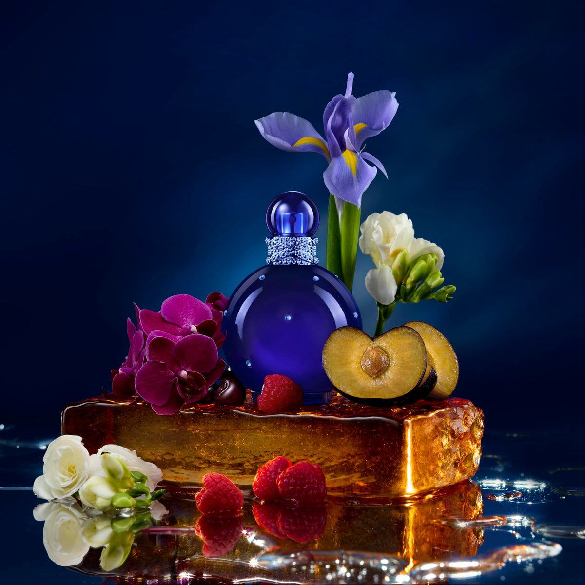 Britney Spears Midnight Fantasy Eau De Parfum EDP Spray for – back view and specifications