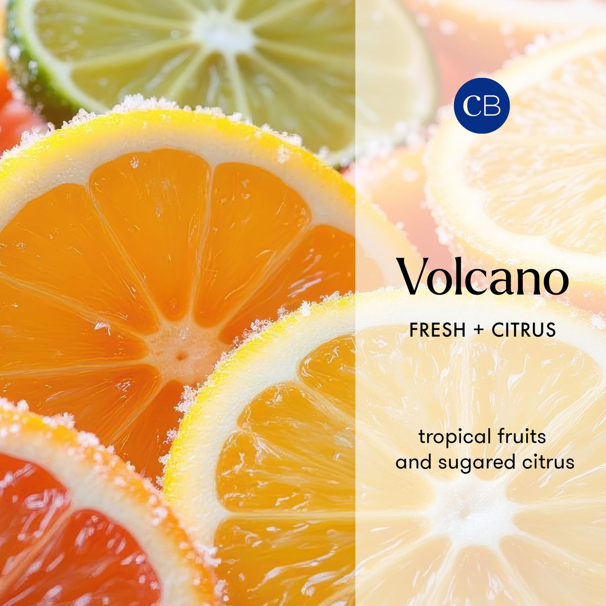 Capri Blue Volcano Reed Diffuser Set - Premium Selection Official Imagery - 4