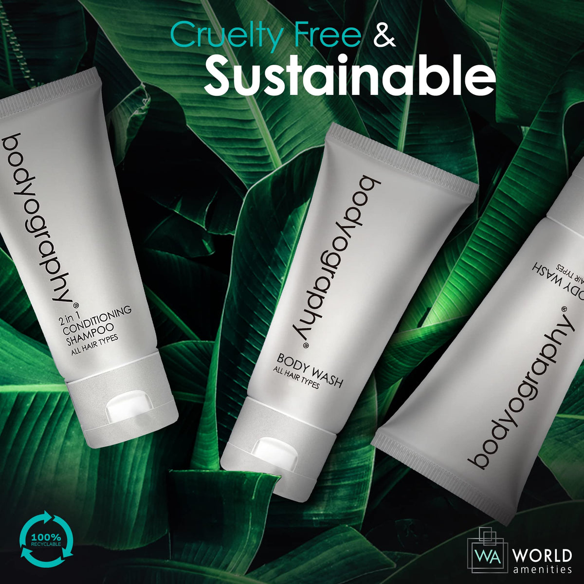 World Amenities - World Amenities Official Imagery - 7