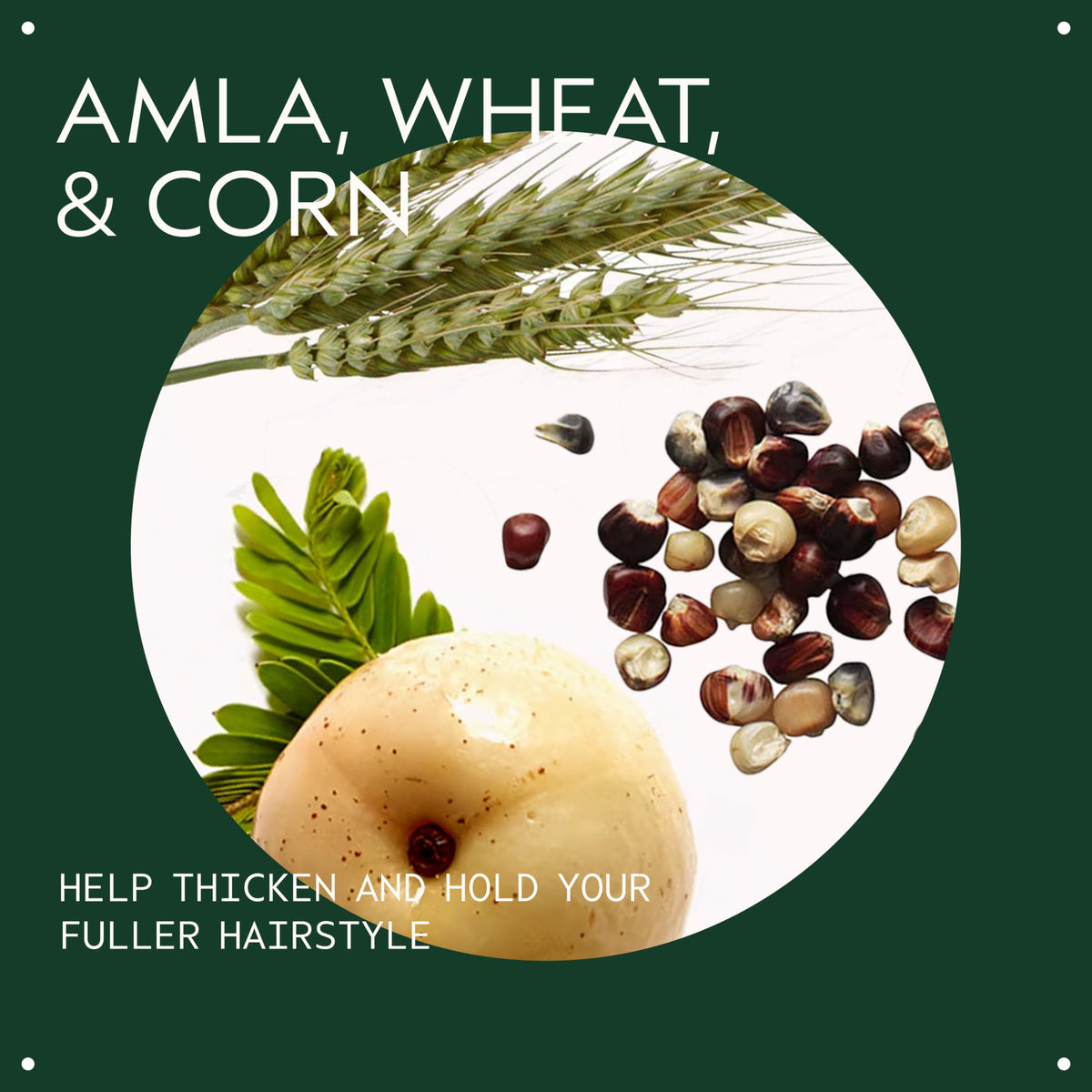 Aveda Thickening Tonic - Premium Selection Official Imagery - 4