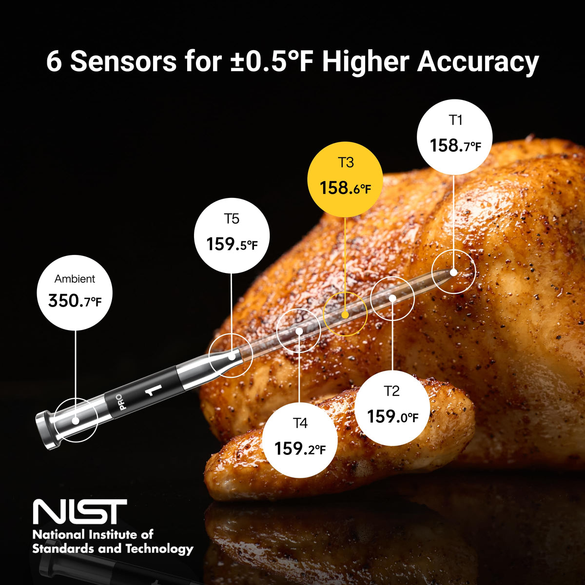ThermoMaven Sub 1G Smart Wireless Meat Thermometer with - ThermoMaven Official Imagery - 7