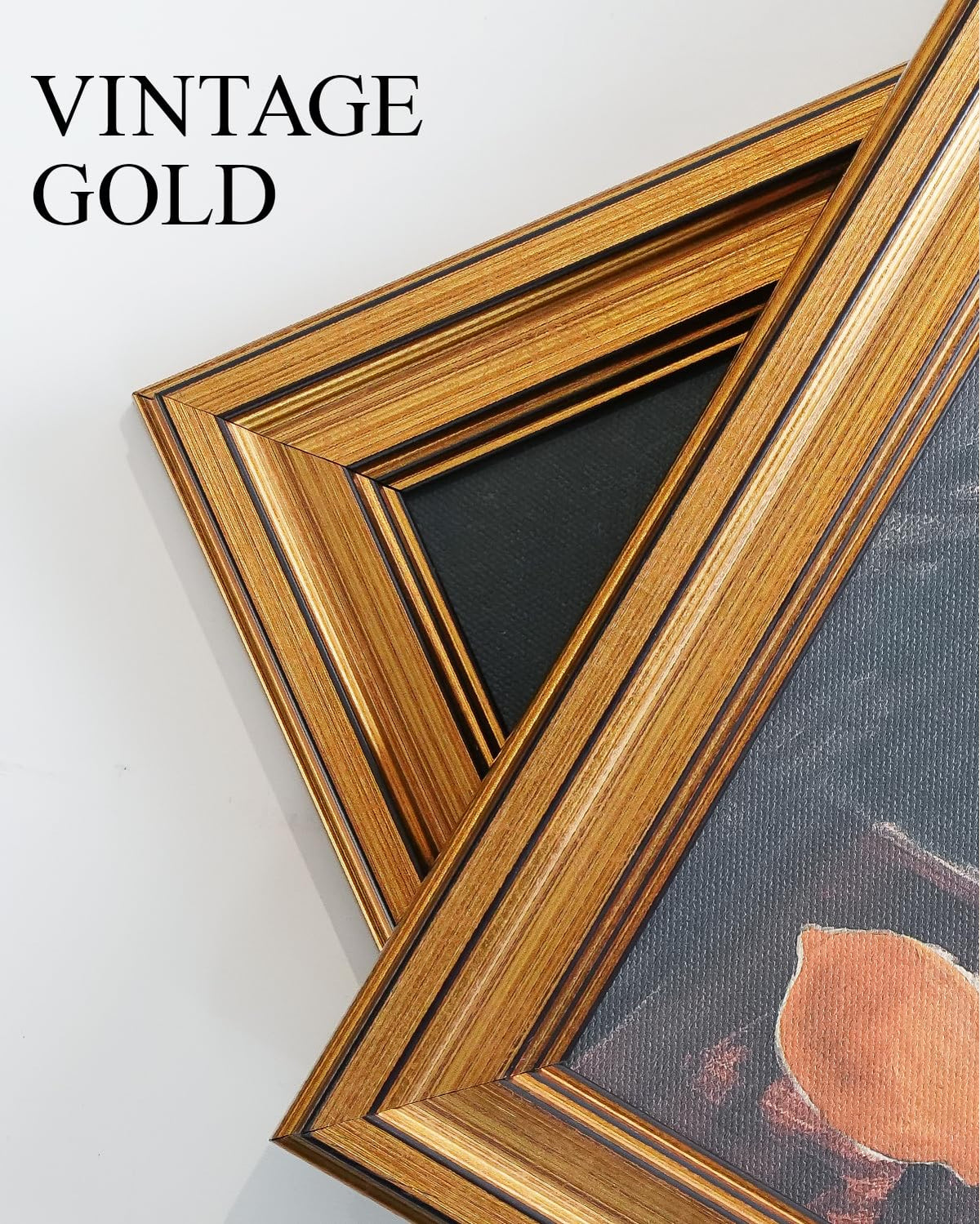 VIYYIEA Vintage Gold Framed Wall Art Hummingbird Sketch – packaging and label