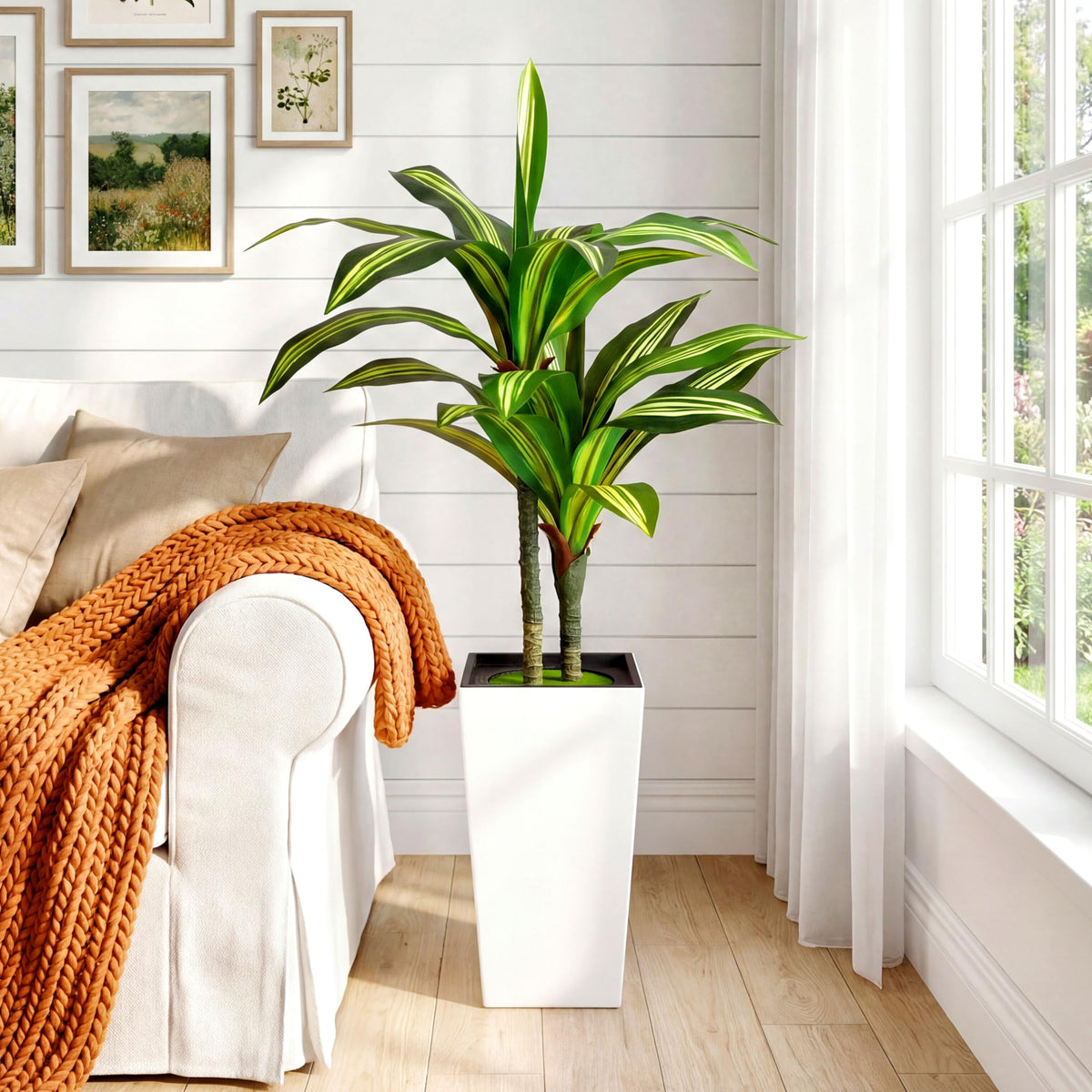 4FT Dracaena Artificial Plant with White Tall Planter - Baccraniate Official Imagery - 2