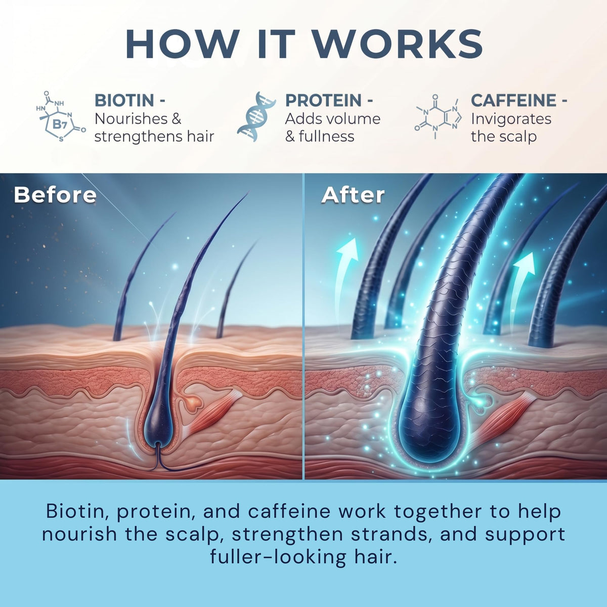 Biotin Hair Thickening and Growth Spray for Thinning and - Paisle Botanics Official Imagery - 8