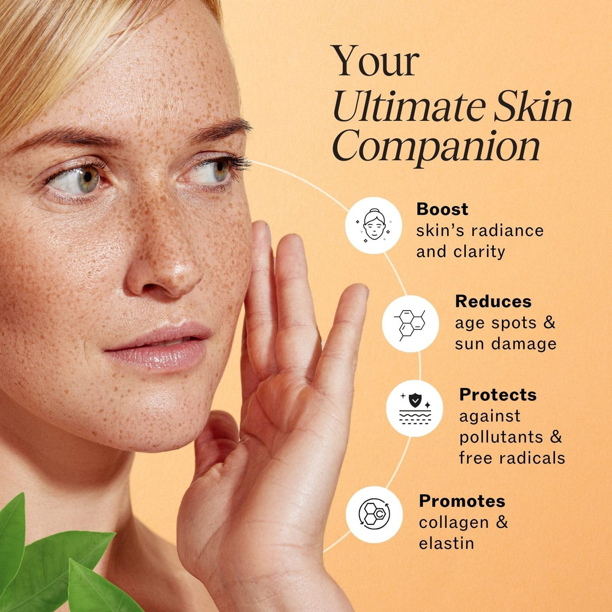 LilyAna Naturals Face Cream 1 7oz and Vitamin C Serum 1oz - LilyAna Naturals Official Imagery - 5