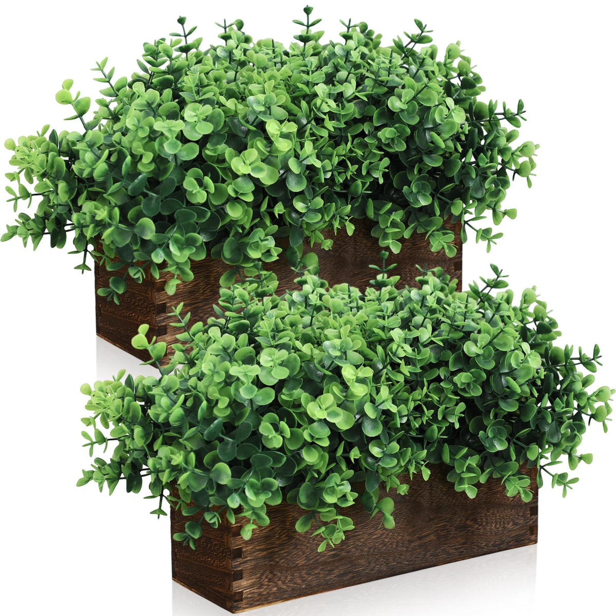 Lyrow 2 Pack Eucalyptus Plant Brown 11 4 Inch Emerald Green - Lyrow Official Imagery - 2