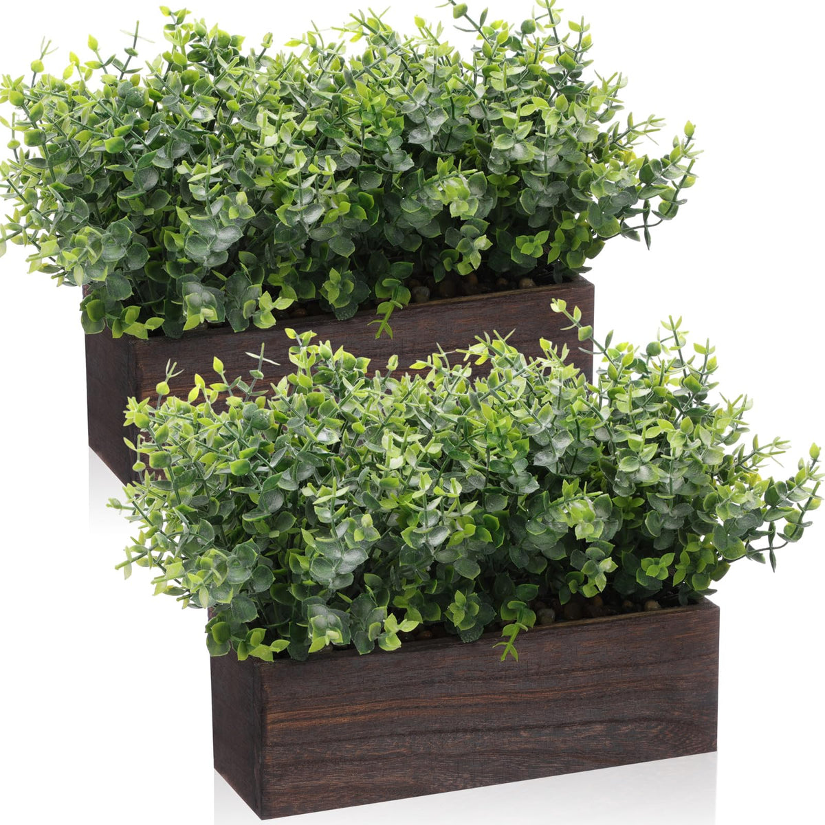 Lyrow 2 Pack Eucalyptus Plant Brown 11 4 Inch Emerald Green - Lyrow Official Imagery - 8
