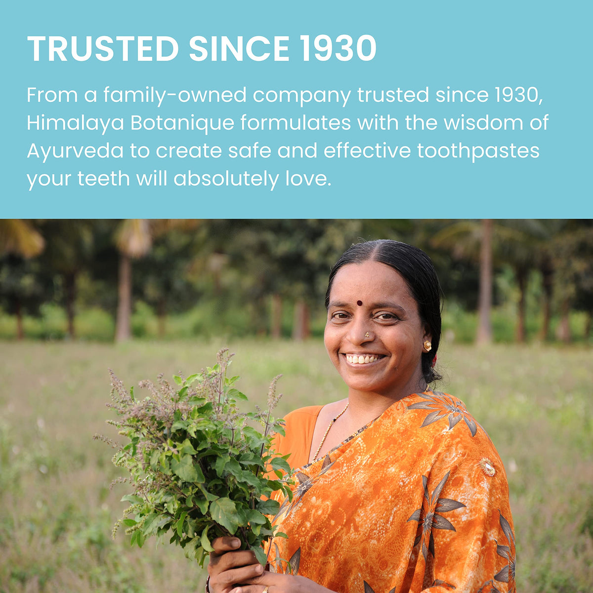 Himalaya – Toothpaste on display