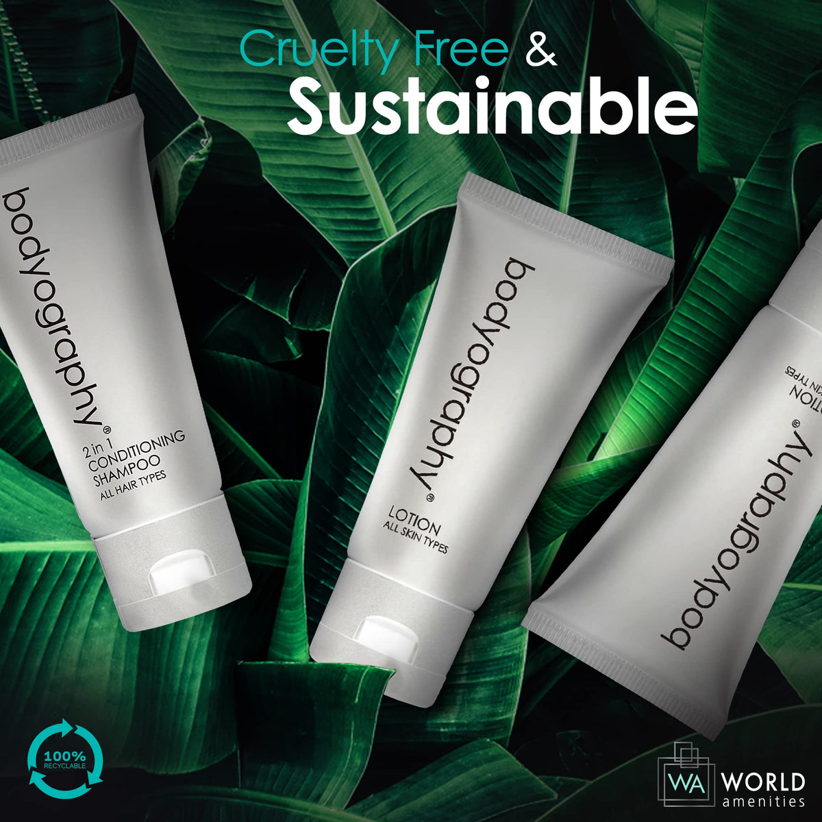 World Amenities Bodyography blanc Bulk Hand and Body Lotion - World Amenities Official Imagery - 5