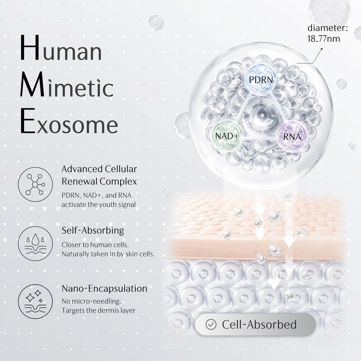 PDRN EMS Eye Cream Dark Circle Vibrating Exosome Anti Aging - GUYU Official Imagery - 4