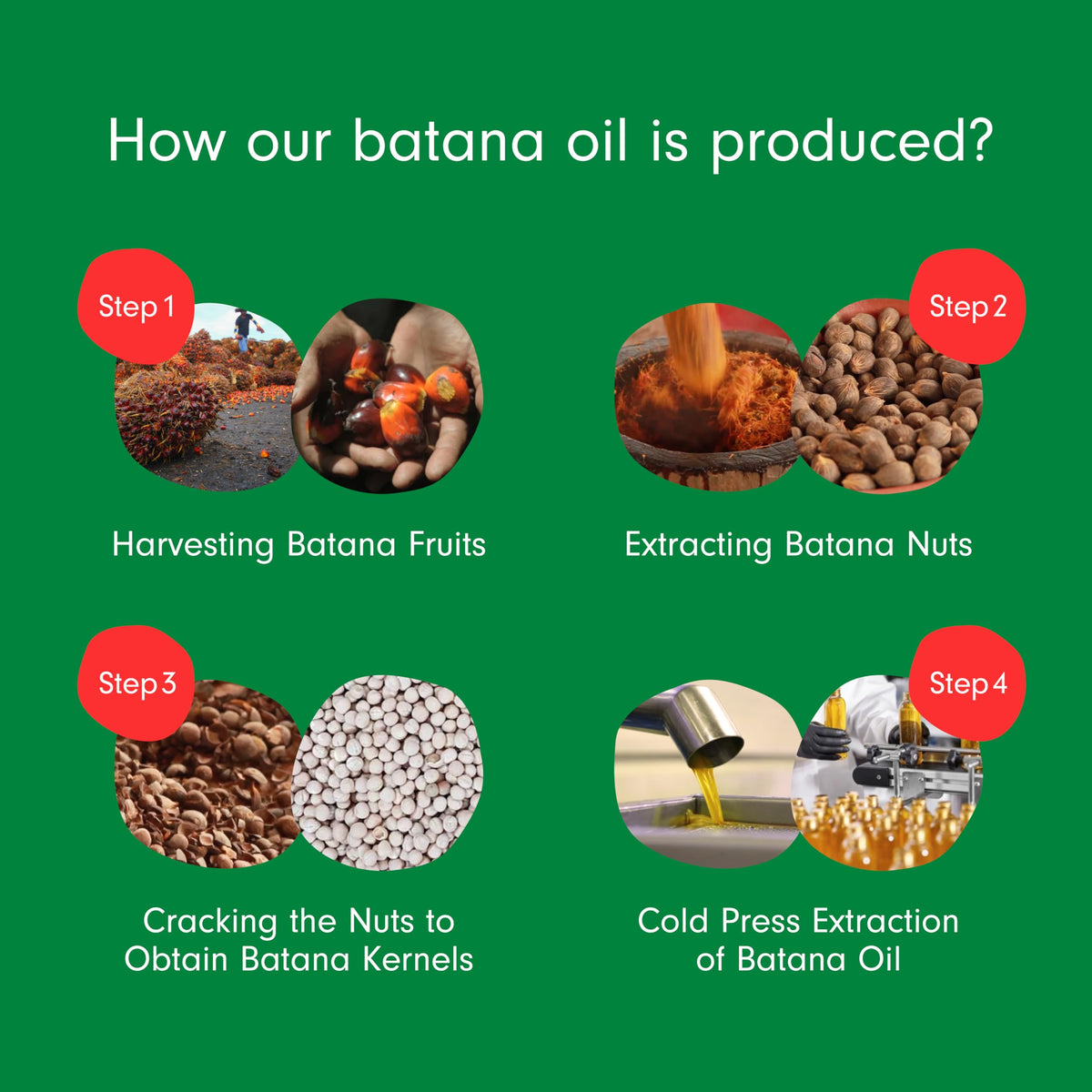 Dersie 100 Pure Batana Oil - Dersie Official Imagery - 7