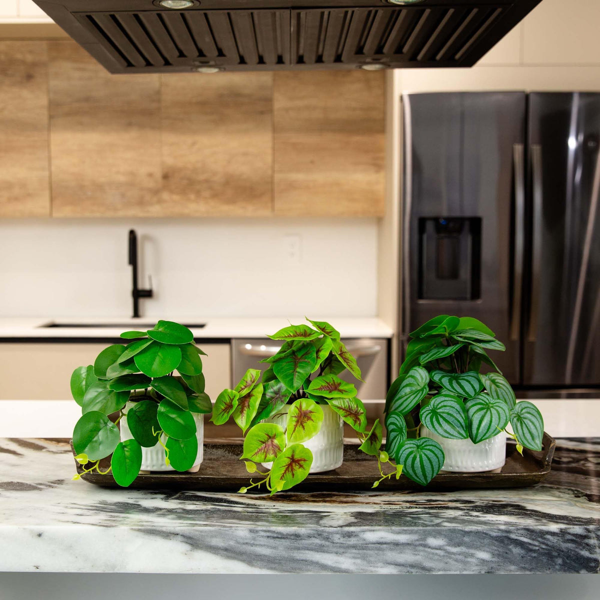 Nearly Natural 8in Artificial Mixed Greens in Ceramic - Nearly Natural Official Imagery - 7