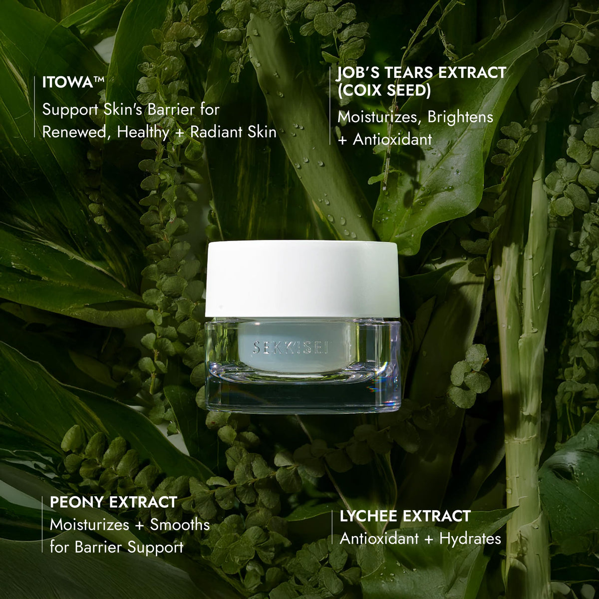 SEKKISEI CLEAR WELLNESS Water Shield Cream Facial - SEKKISEI Official Imagery - 3
