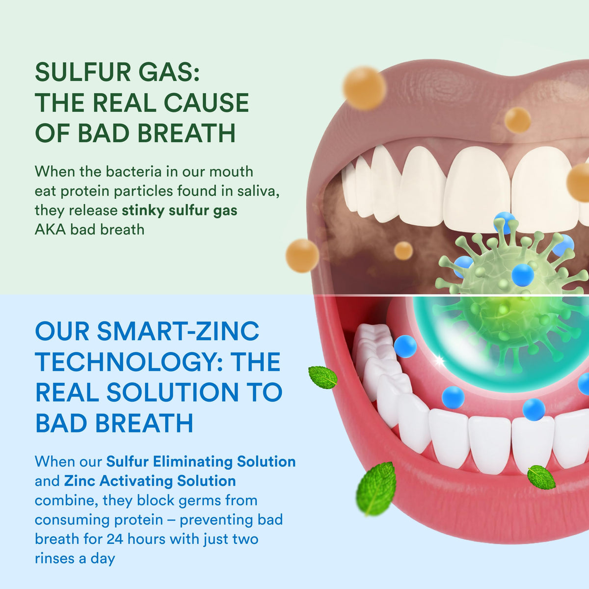 SmartMouth Original Zinc Activated Mouthwash Fresh Mint 16 – back view and specifications