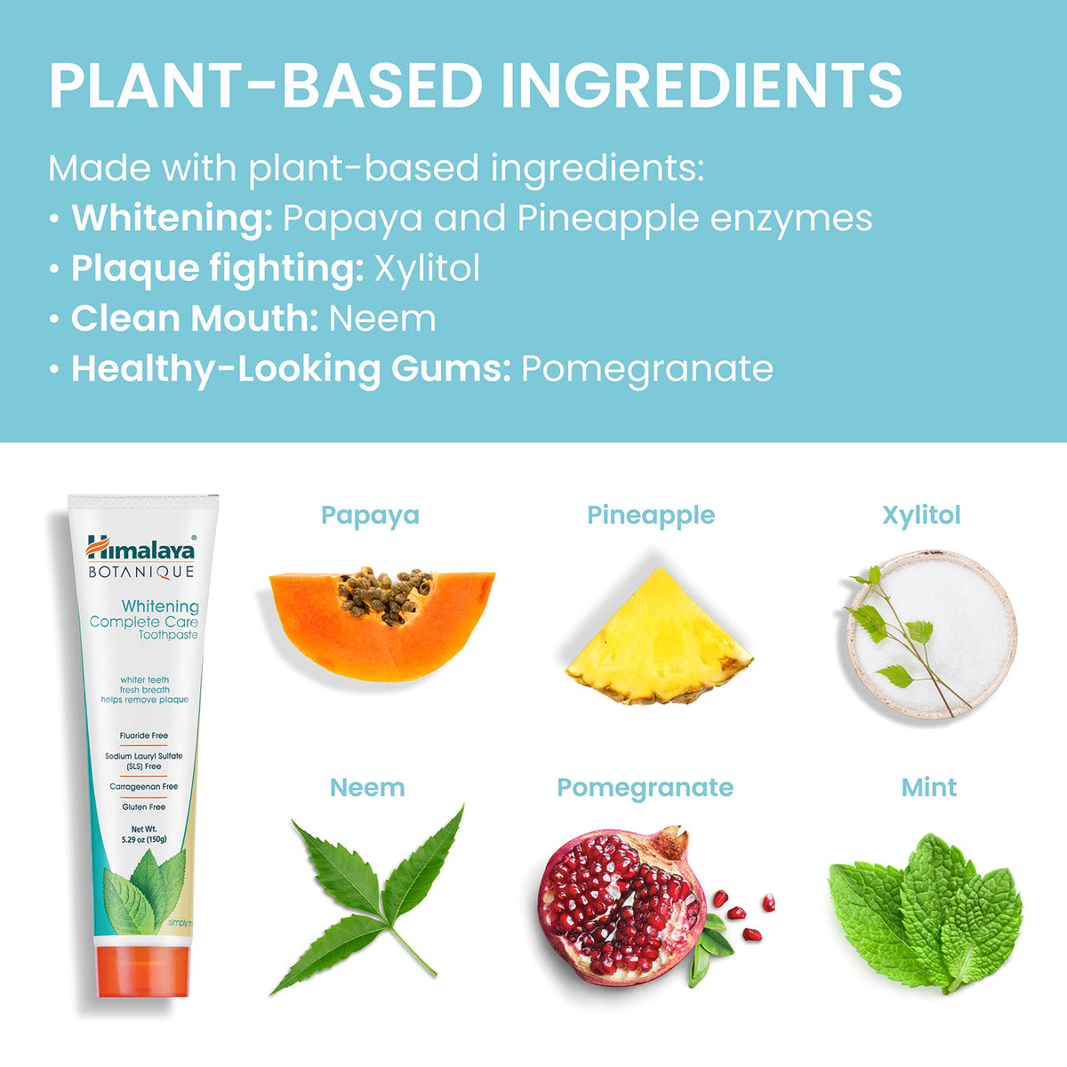 Himalaya Botanique Whitening Complete Care Toothpaste Mint 5 – alternate angle