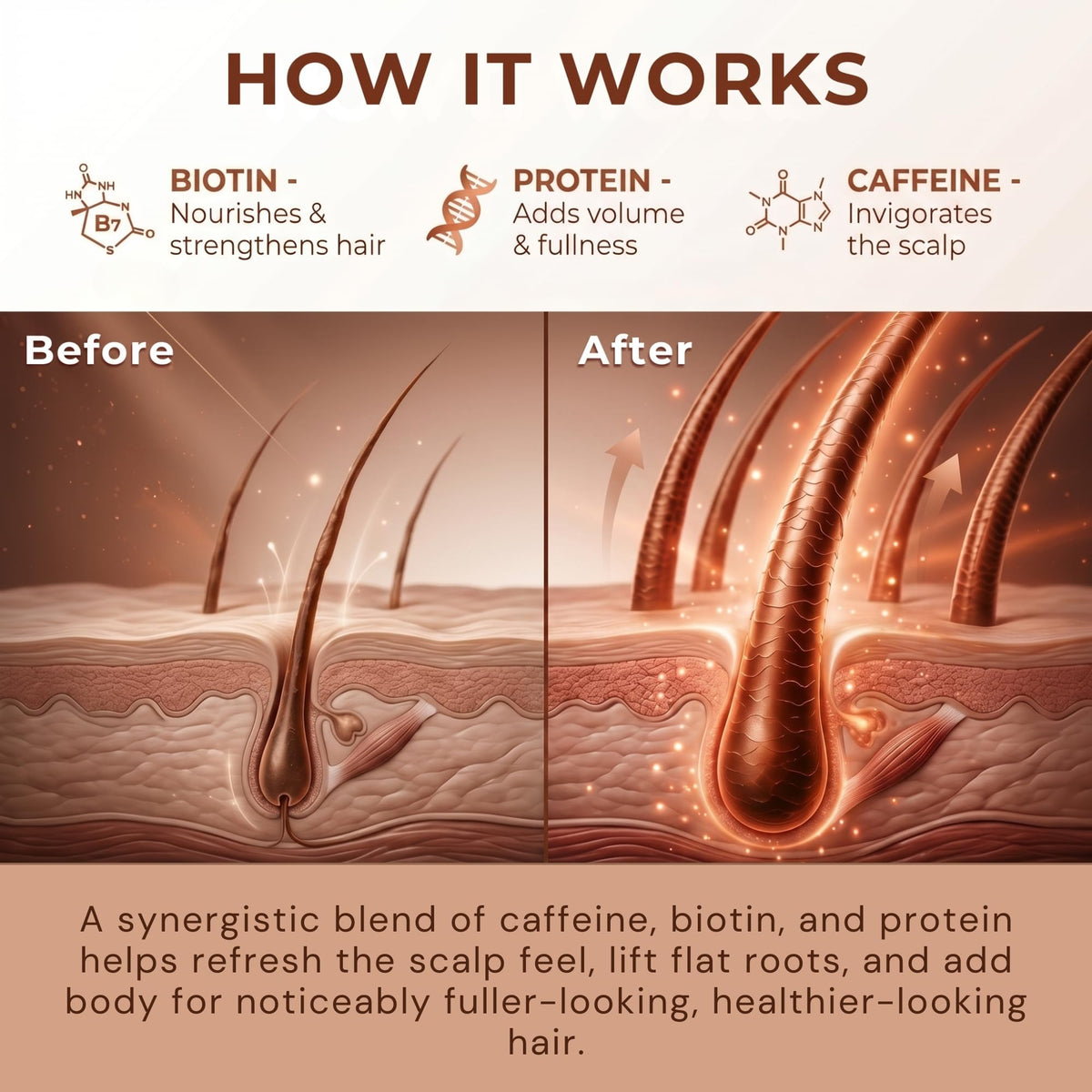 Biotin Hair Thickening Spray for Volume and Growth - Paisle Botanics Official Imagery - 8