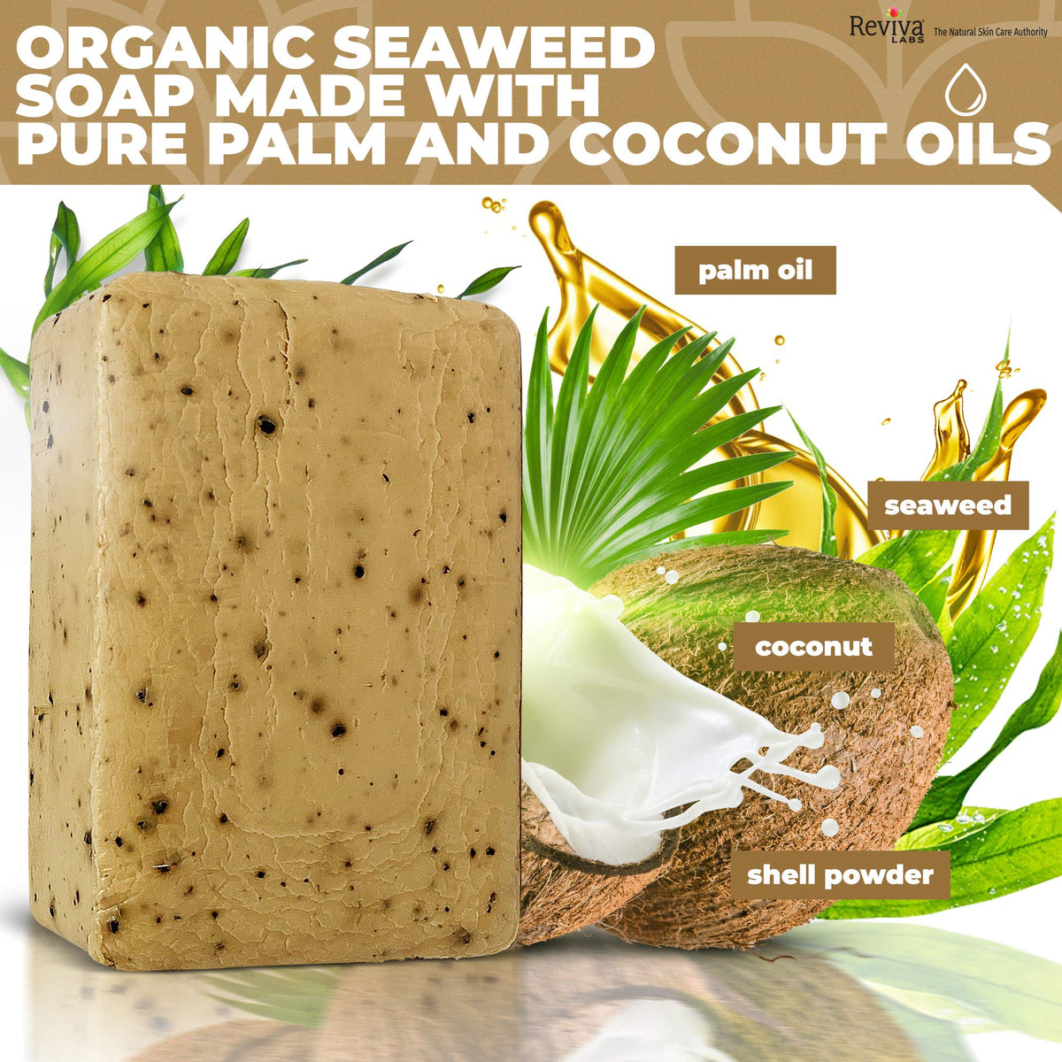 Reviva Seaweed Soap - Reviva Labs Official Imagery - 8