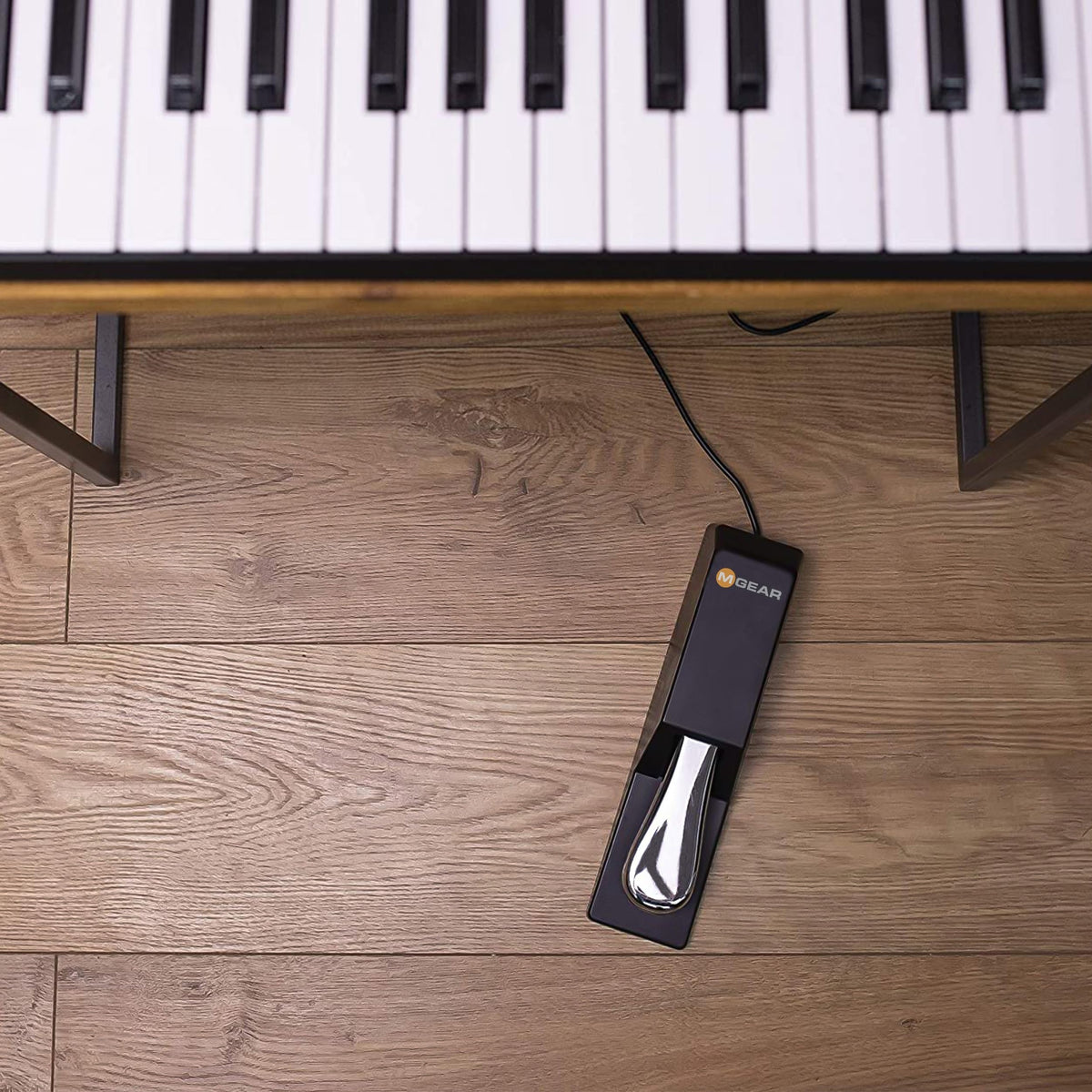 M-AUDIO M AUDIO SP 2 Universal Sustain Pedal – packaging and label