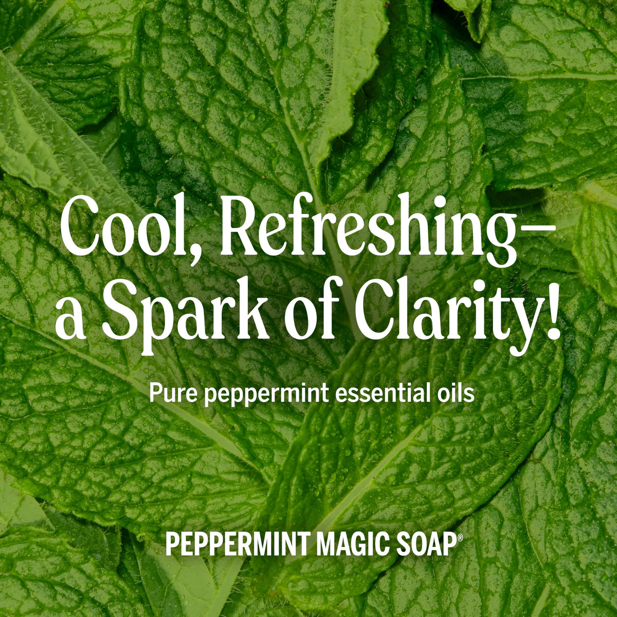 Dr. Bronner's Dr Bronner s Peppermint Pure Castile Liquid Soap Hand Soap – back view and specifications