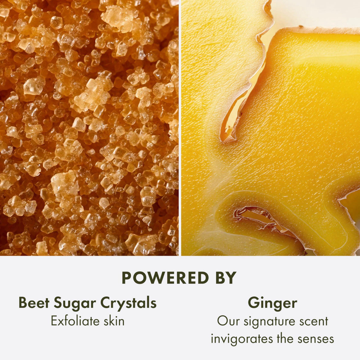 Origins Incredible Spreadable Smoothing Ginger Body Scrub by Premium Selection — view 6